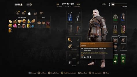 witcher 3 trophy guide